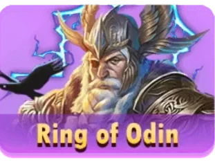 Ring Of Odin screenshot